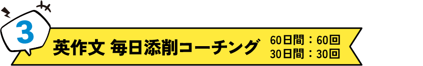3.英作文 毎日添削コーチング： 60日間--60回　30日間--30回